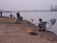 100 1437 (Small)